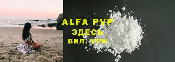 спайс Богданович