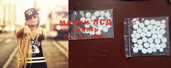 спайс Богданович