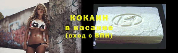 спайс Богданович