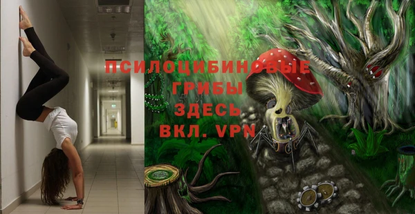 прущая мука Богородск