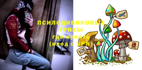 спайс Богданович