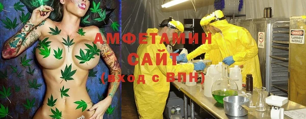 спайс Богданович