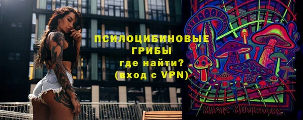 прущая мука Богородск
